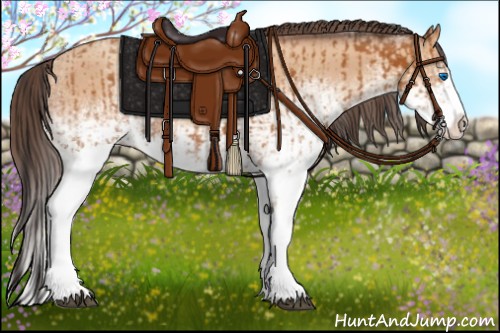 Horse Color:White Spotted Bay Splash  and White Spotted Amber Champagne Splash 