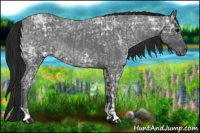 Horse Color:Blue Ice Roan and Gray Blue Ice Roan