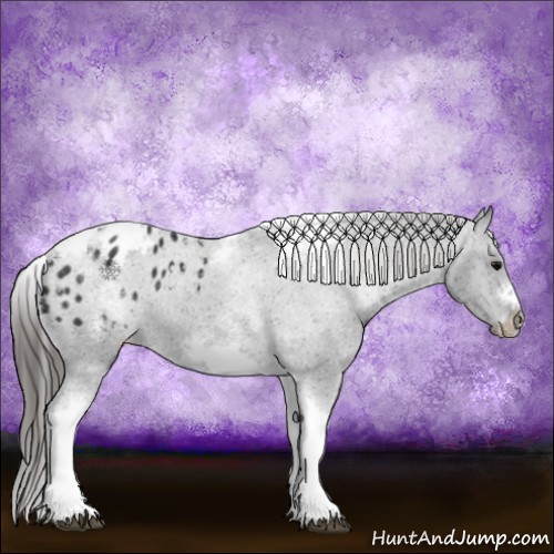 Horse Color:White Spotted Black Splash Tobiano Frame Appaloosa 