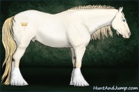 Horse Color:Buckskin Roan Pearl Dun Rabicano and Buckskin Roan Pearl Dun Rabicano