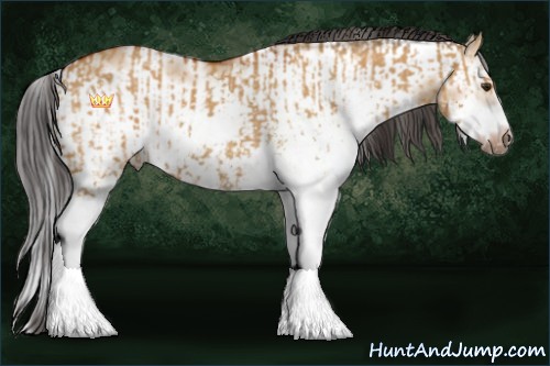 Horse Color:Bay Dun Sabino  and Bay Dun Sabino Frame 