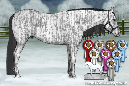 Horse Color:Blue Ice Roan  and Blue Ice Roan Appaloosa 