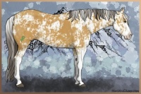 Horse Color:Buckskin Sabino and Buckskin Sabino