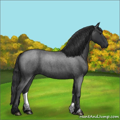Horse Color:Blue Roan 