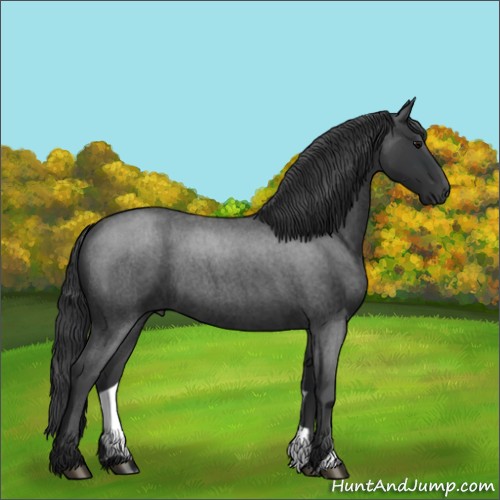 Horse Color:Blue Roan 