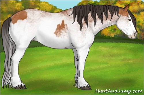 Horse Color:White Spotted Bay Splash  and White Spotted Bay Splash 