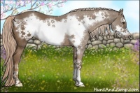 Horse Color:Chocolate Palomino Frame