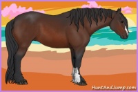 Horse Color:Brown 