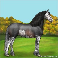 Horse Color:Brown Rabicano  and Brown Splash Rabicano 