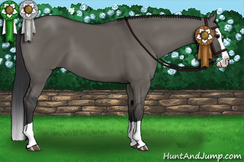 Horse Color:Grullo Splash 