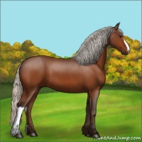 Horse Color:Silver Bay 