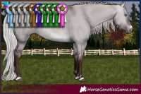 Horse Color:Chocolate Silver Brown Chinchilla Dun 