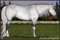 Horse Color:Chocolate Silver Brown Chinchilla Dun 