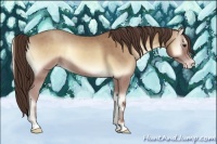 Horse Color:Classic Champagne Onyx 
