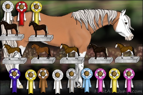 Horse Color:Silver Bay Splash 