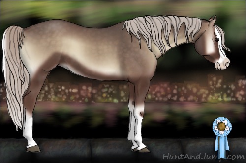 Horse Color:Silver Blue Onyx Splash