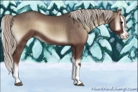 Horse Color:Silver Blue Onyx Splash 