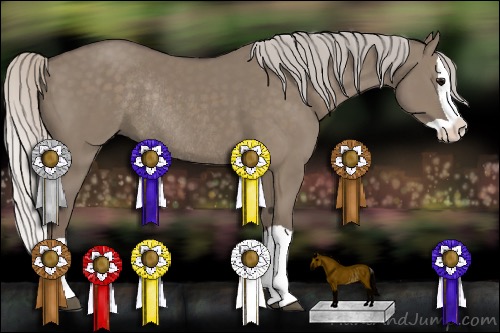 Horse Color:Silver Grullo Splash Rabicano 