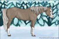 Horse Color:Silver Grullo Splash Rabicano 