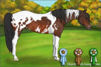 Horse Color:Bay Tobiano Blanket 