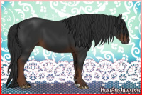 Horse Color:Gray Liver Chestnut