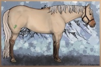Horse Color:Silver Bay Dun 