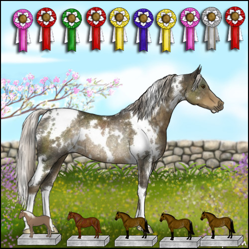 Horse Color:White Spotted Chocolate Palomino Rabicano 