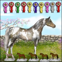 Horse Color:White Spotted Chocolate Palomino Rabicano