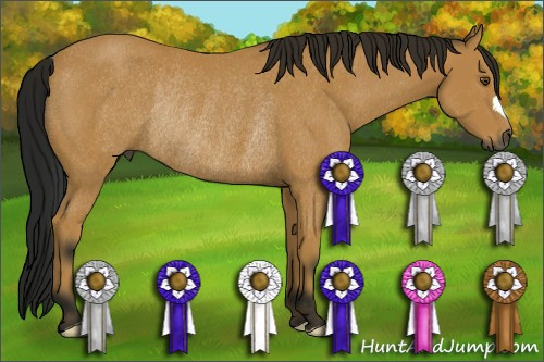 Horse Color:Gray Buckskin Rabicano 