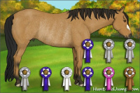 Horse Color:Gray Buckskin Rabicano 