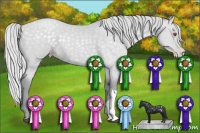 Horse Color:Silver Black Chinchilla Pearl 