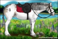 Horse Color:White Spotted Blue Onyx Splash Frame