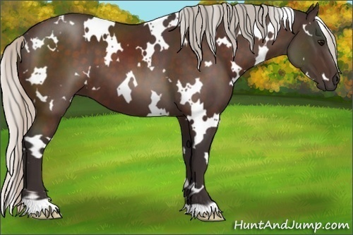 Horse Color:White Spotted Silver Brown 