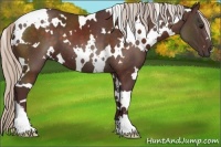Horse Color:White Spotted Chocolate Silver Brown 