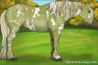 Horse Color:Watercolor White Spotted Silver Black 