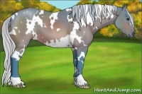 Horse Color:Watercolor White Spotted Silver Brown 
