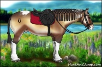 Horse Color:Bay Onyx Tobiano Appaloosa 