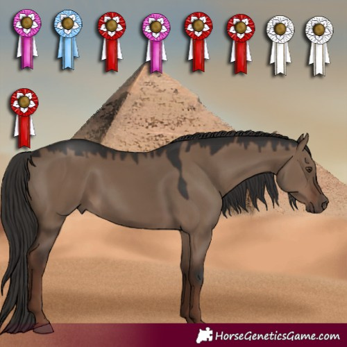 Horse Color:Liver Red Dun 