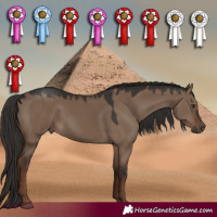 Horse Color:Liver Red Dun 