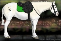 Horse Color:Gold Cream Champagne Roan Onyx Frame Appaloosa Rabicano 