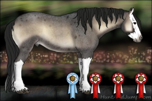 Horse Color:Gray Smoky Blue Onyx Roan Splash 