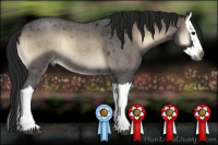 Horse Color:Gray Smoky Blue Onyx Roan Splash 
