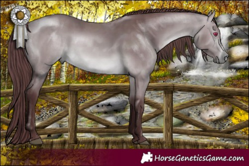 Horse Color:Chocolate Bay Chinchilla