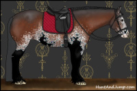 Horse Color:White Spotted Brown Rabicano