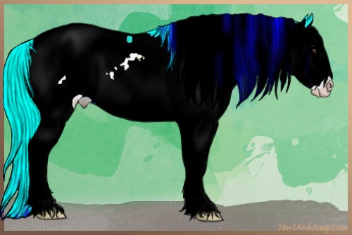 Horse Color:Palomino Splash Snowcap