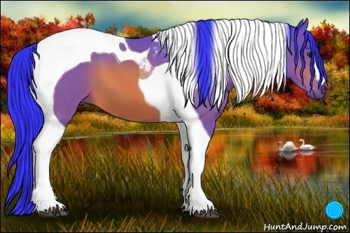 Horse Color:Watercolor Bay Tobiano 