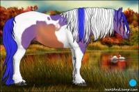 Horse Color:Watercolor Bay Tobiano 