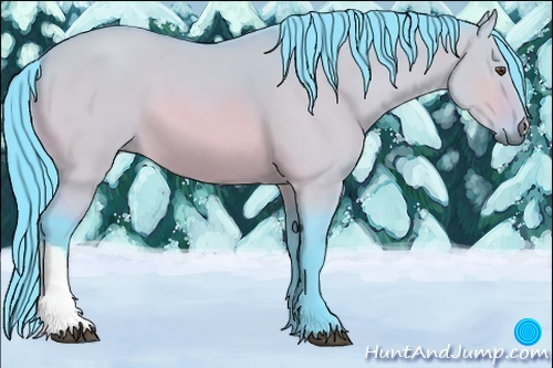 Horse Color:Watercolor Buckskin Dun 