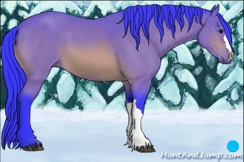 Horse Color:Watercolor Bay 