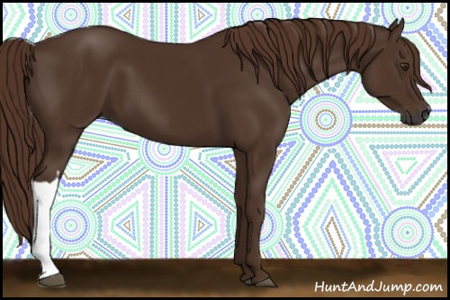 Horse Color:Gray Chestnut